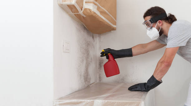 Professional Attic Mold Removal technician working in Hillsdale, NJ