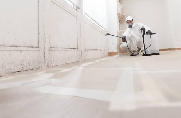 24/7 Emergency Attic Mold Removal experts in Hillsdale, NJ